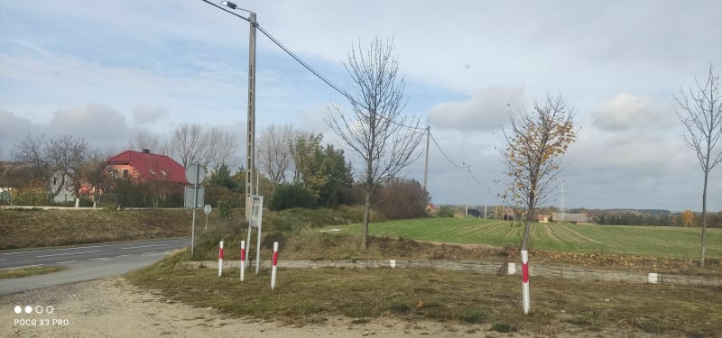 Pierwsza trasa w okolicy Boleslawca - Wiewiórka