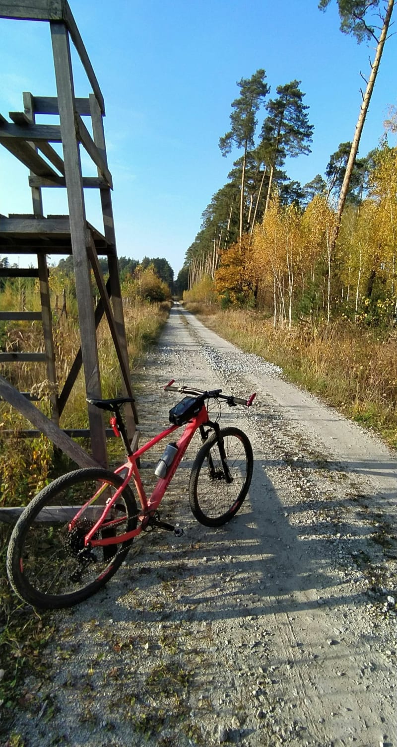Leśna trasa ze sporą ilością przewyższeń. - Gorzów Śląski