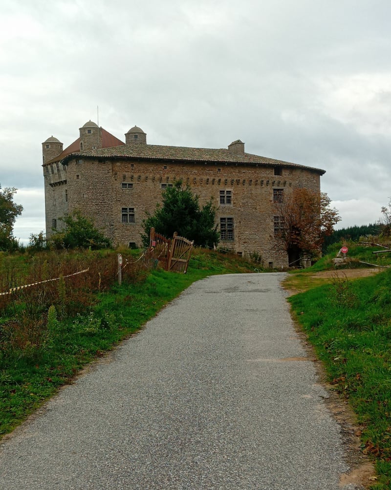 Château de Maisonseule - Saint-Basile