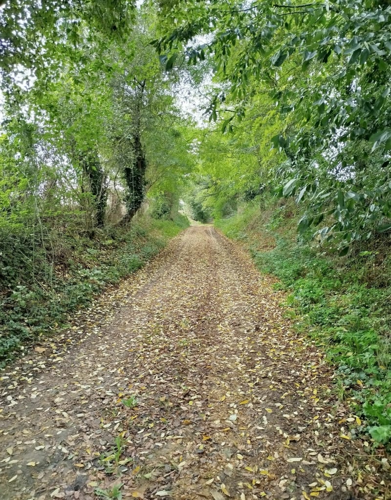 Autour de Pontvallain - Pontvallain
