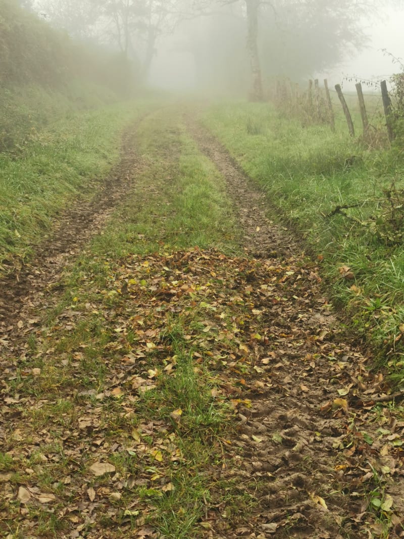 Boucle vaux sous Bornay - Macornay