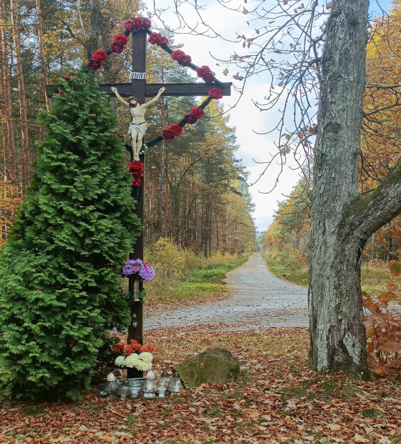 Paprocany- Krzyż na rozdrożu- Promnice - Tychy