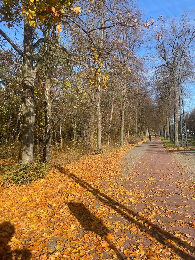 Ścieżka zdrowia - Łódź