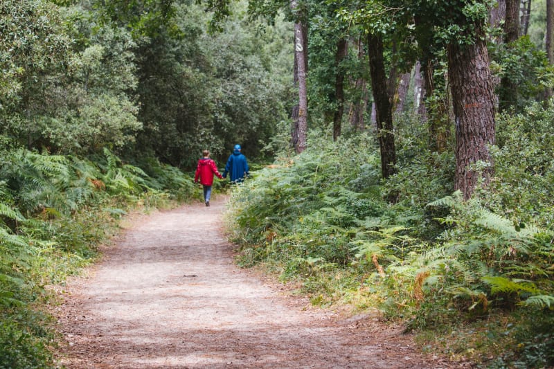 A la découverte de nouveaux chemins de Peyrilhac - Peyrilhac