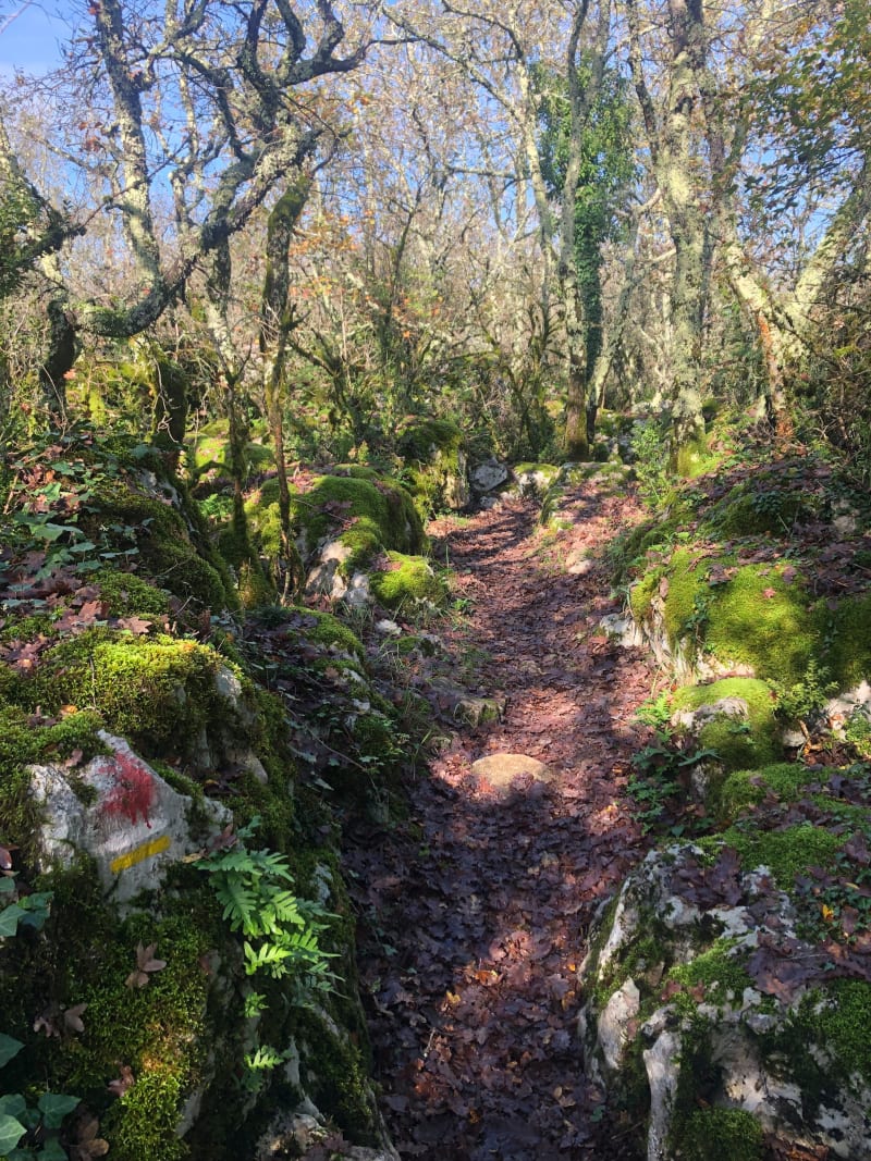 Balade pittoresque vers le Bois de la Blachère - Lablachère