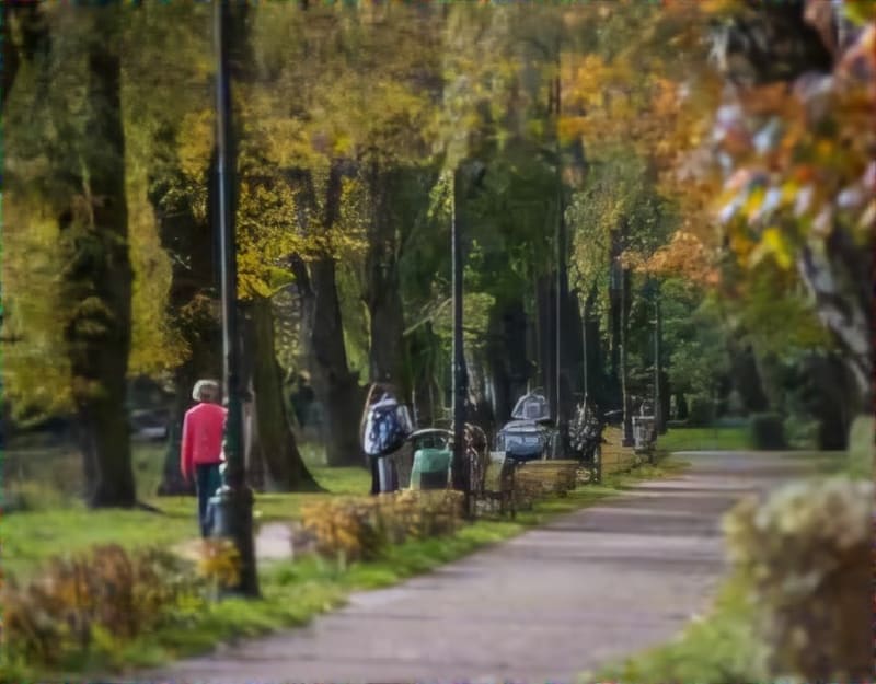 Park Zgierz - Zgierz