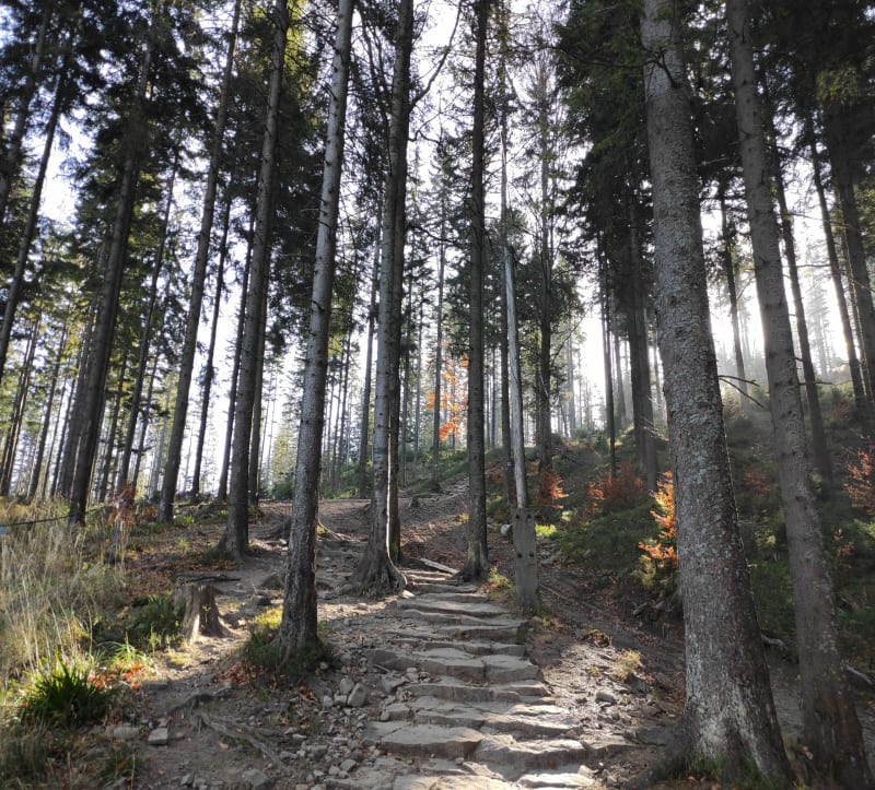 Babia góra, Mała Babia - Zawoja