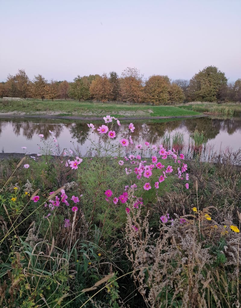 "Nowy" Park Kleciński za pętlą Klecina na spokojnie - Wrocław