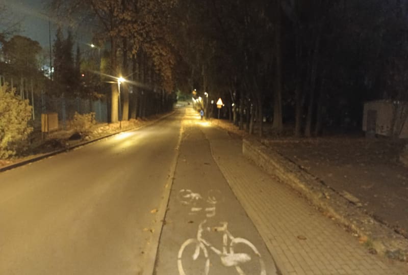 Bieg na Skałkę - Chorzów