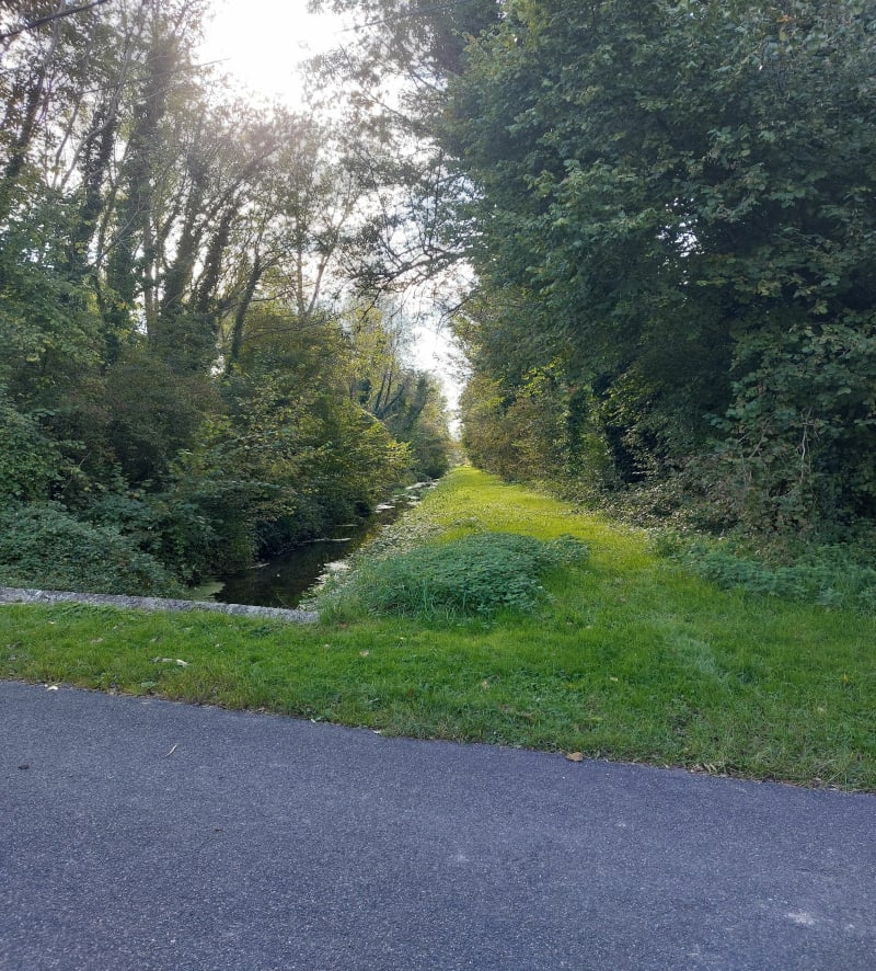 De Balloy à Bazoches-lès-Bray - Balloy