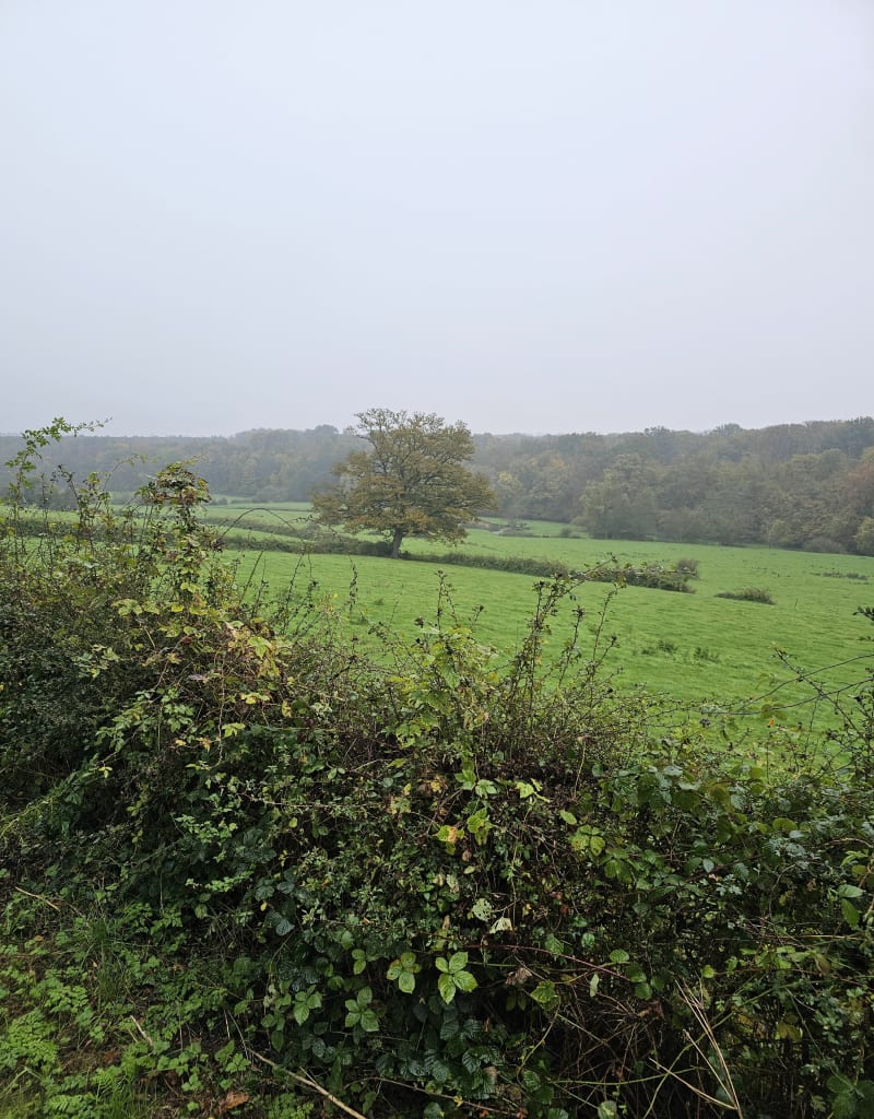 Parcours Neuve-Maison et Pont du Foe - Neuve-Maison