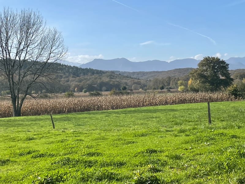 Adé -Lanne par la campagne - Adé