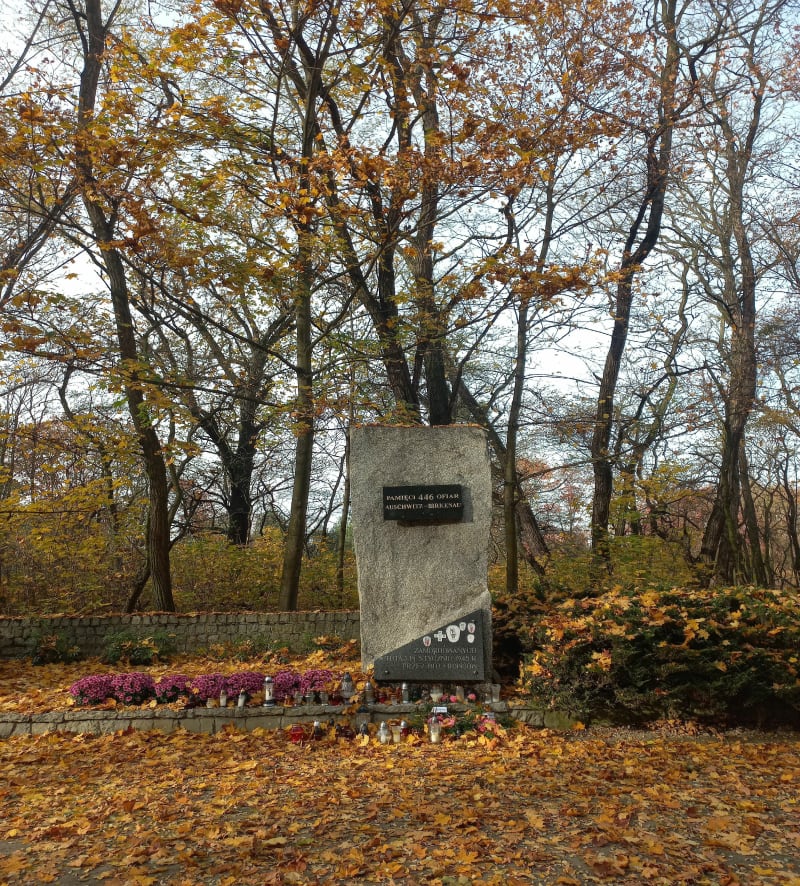 Park krajobrazowy Rudy blisko centrum Rybnika - Rybnik