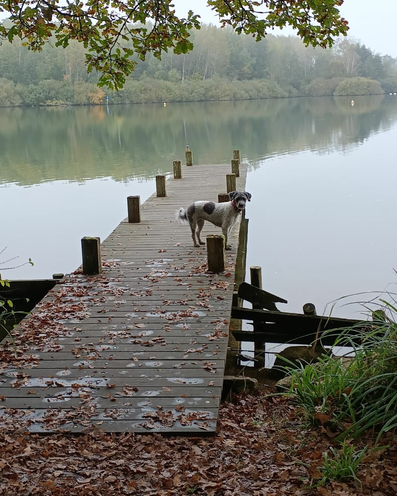 Tour du lac d'Amance - Dienville