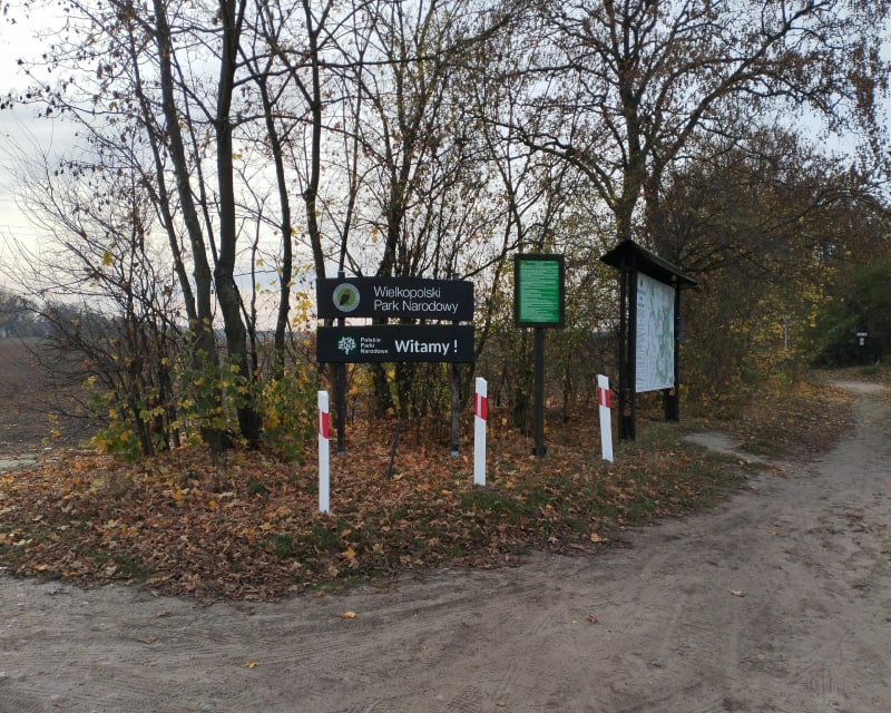 Przejazd przez "serce" Wielkopolskiego Parku Narodowego - Wiry