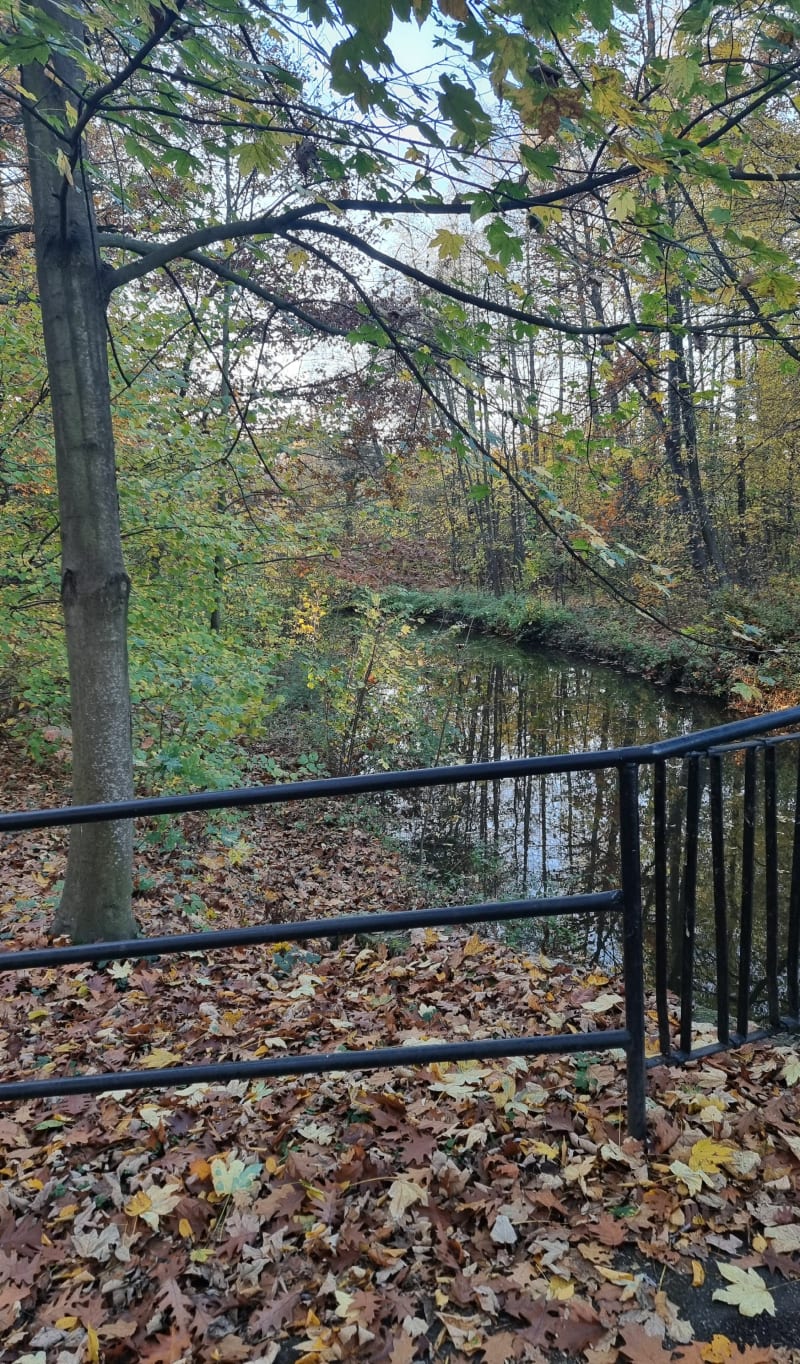 Stara Wieś do Centrum - Pszczyna