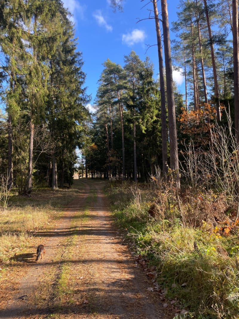 Trasa spacerowa Majówka - Majówka