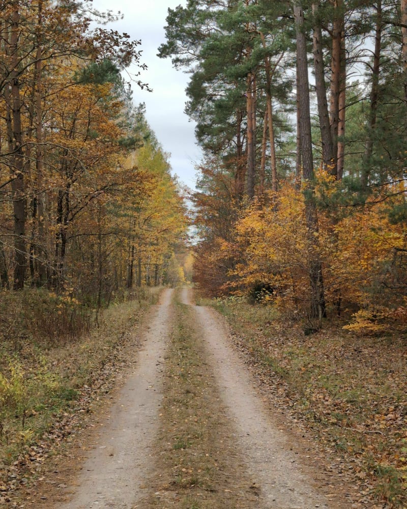 Natura 2000 Sztumskie Pole - Grzępa