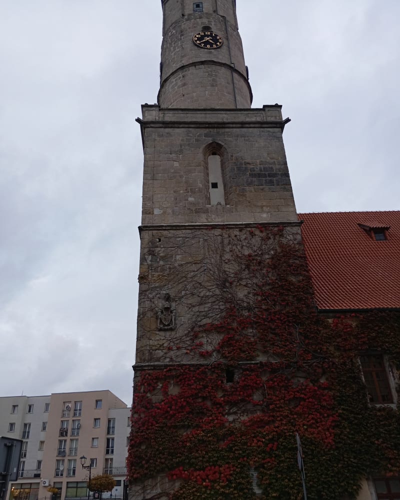Spokojny spacerek wokół rzeczki - Lwówek Śląski