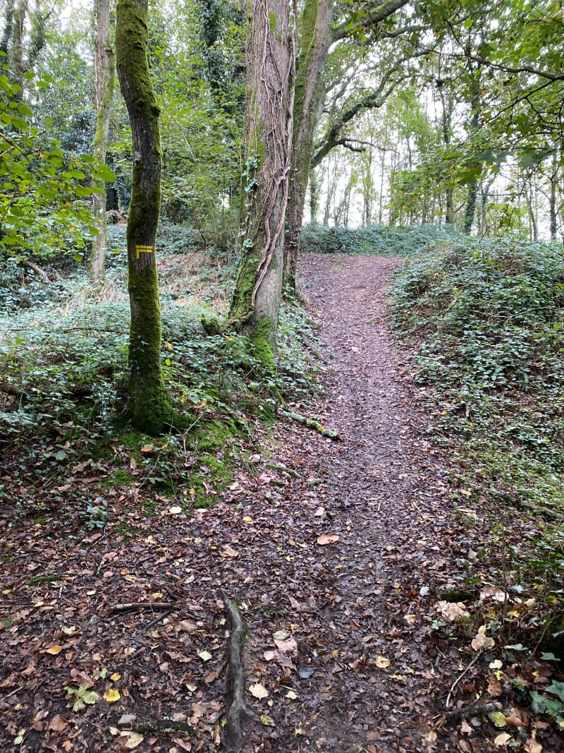 Boucle autour de Savenay - Savenay