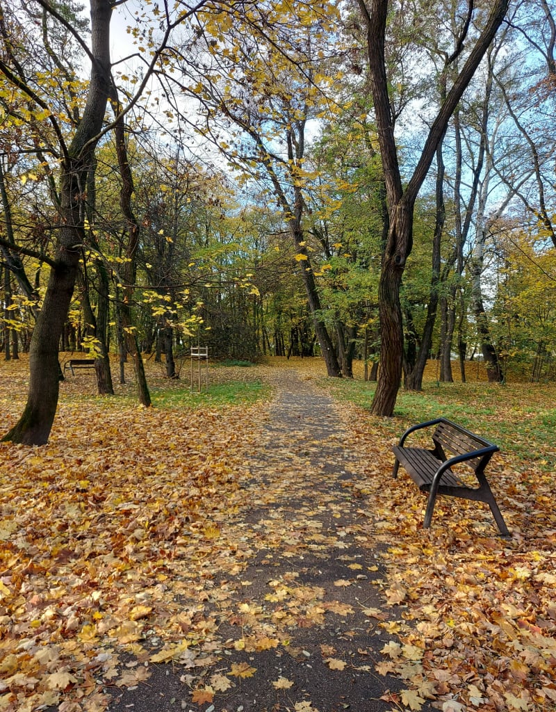 Czyżny - Park Lotników - Kraków