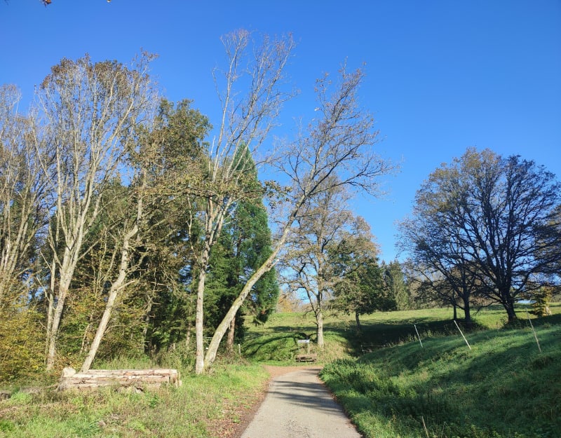 Boucle en forêt à Frohmuhl, par Grossmatt - Frohmuhl