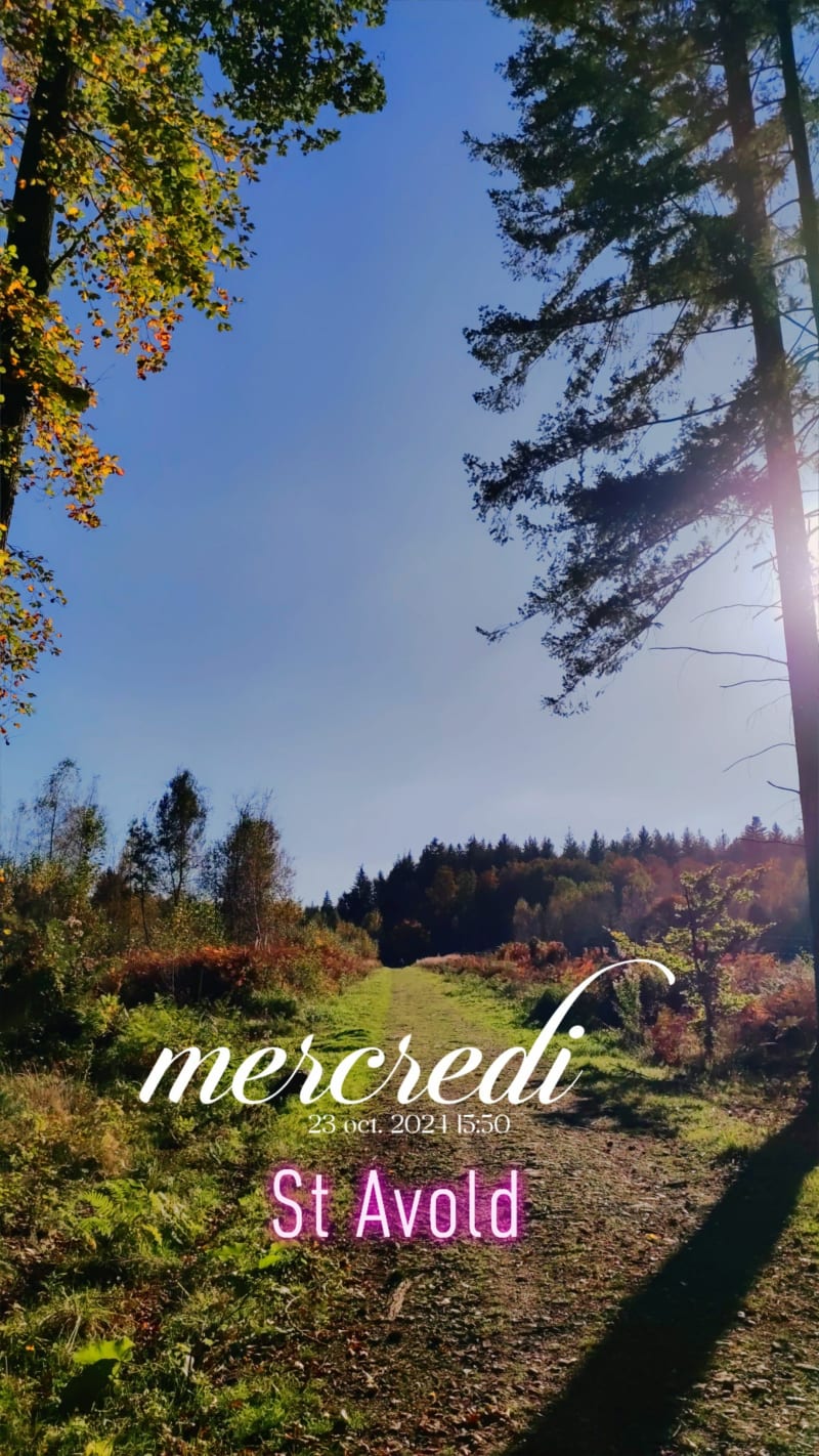 Boucle en forêt d'Oderfang - Saint-Avold