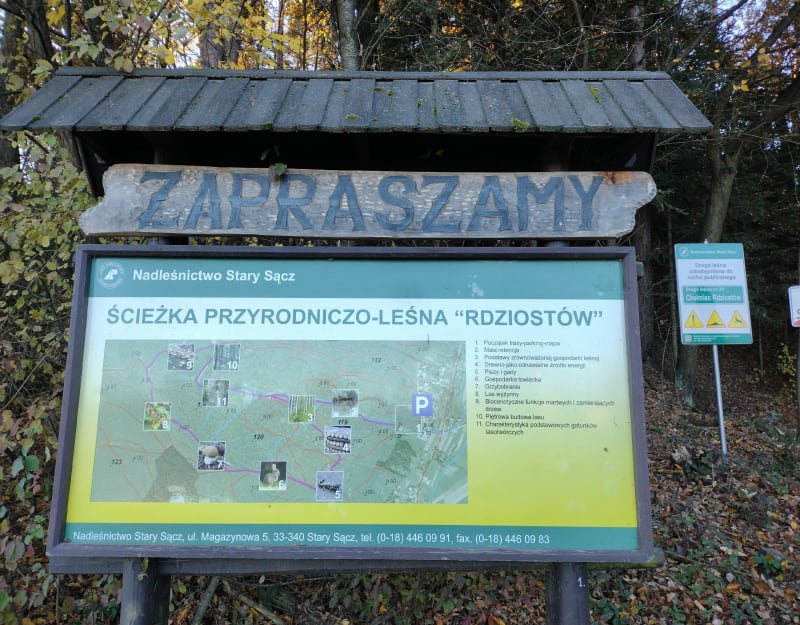 Ścieżka Przyrodniczo-Leśna RdziostówPiękna ścieżka przyrodni - Marcinkowice