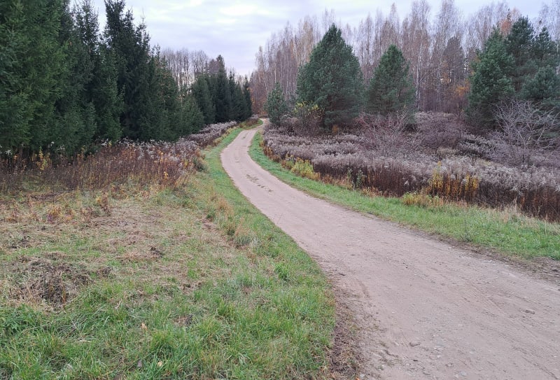 Rekreacyjna ścieżka szutrowa - Olsztyn