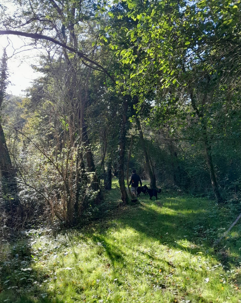 Petite boucle du bois de Bonnac - Bonnac