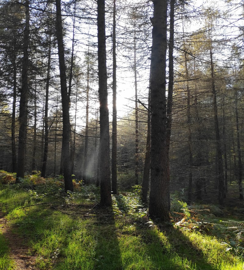 Promenande autour de Ronteix - Gioux