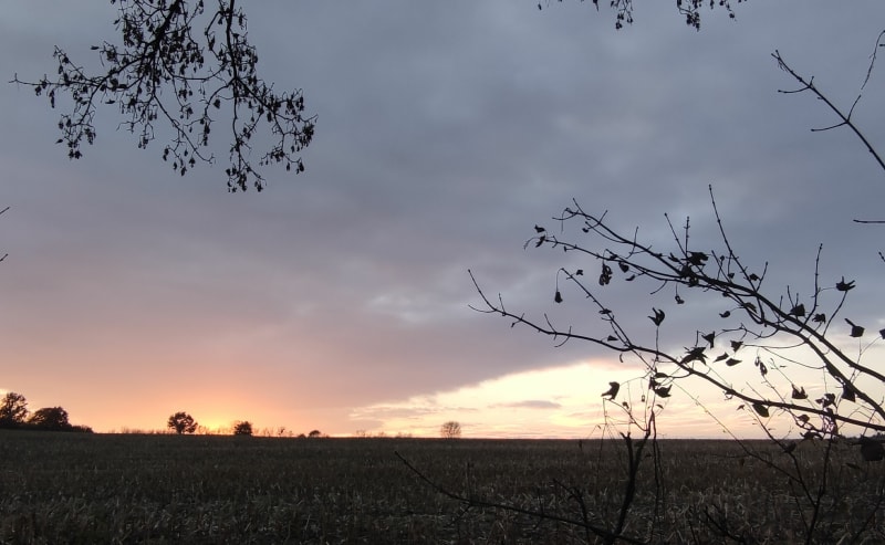 Trasa wśród zbóż i kukurydzy - Libiąż
