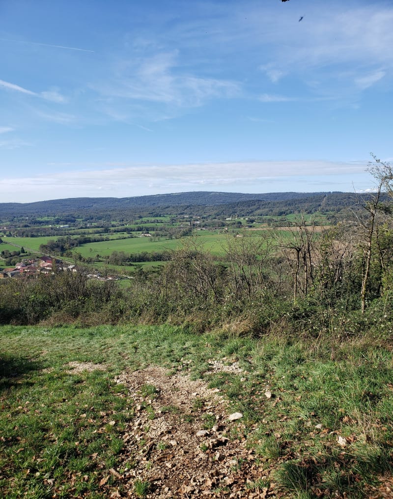 Rando Trans Revermont - Simandre-sur-Suran