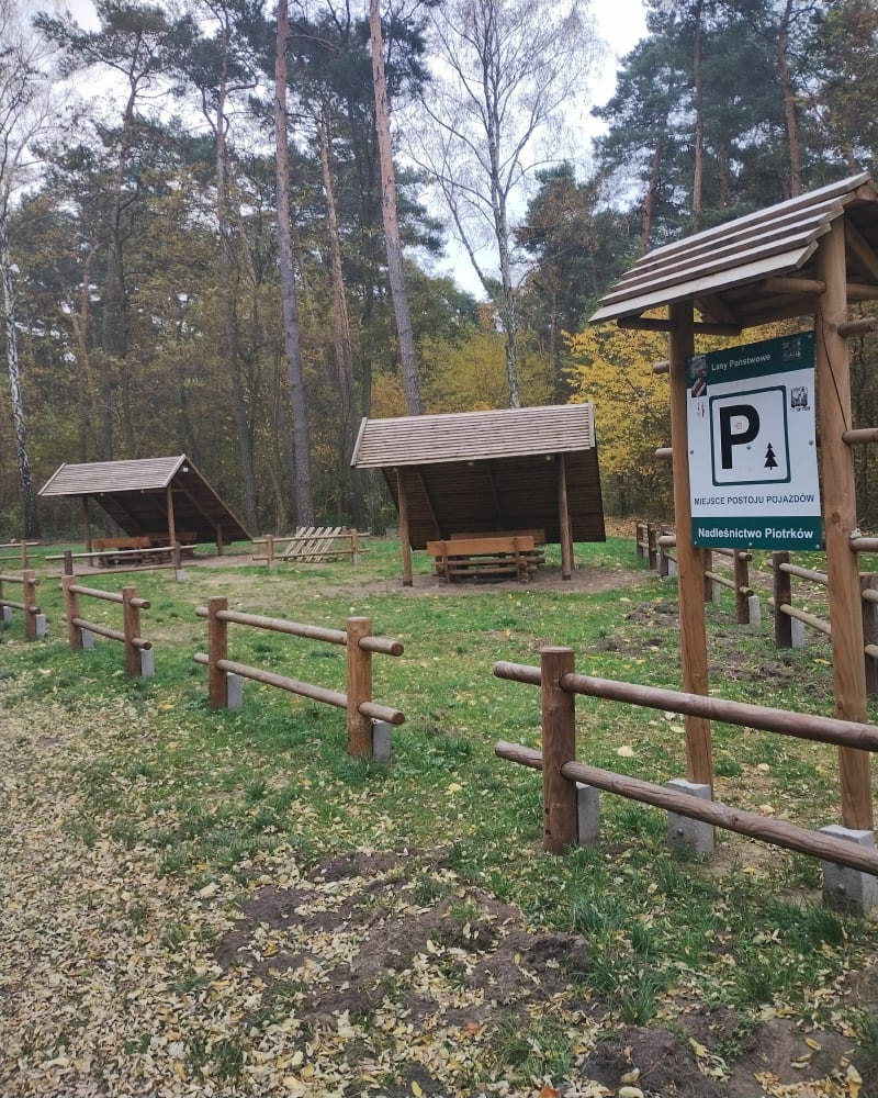 Leśna droga - Piotrków Trybunalski