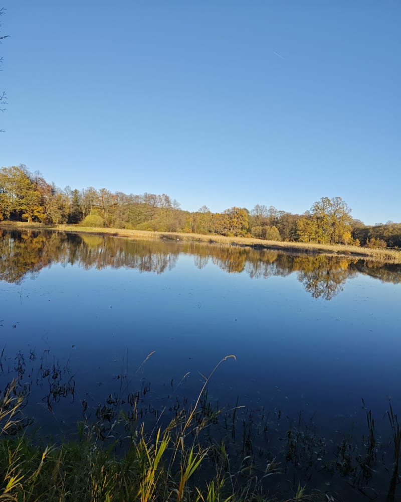 Park krajobrazowy w Bukowcu - Bukowiec