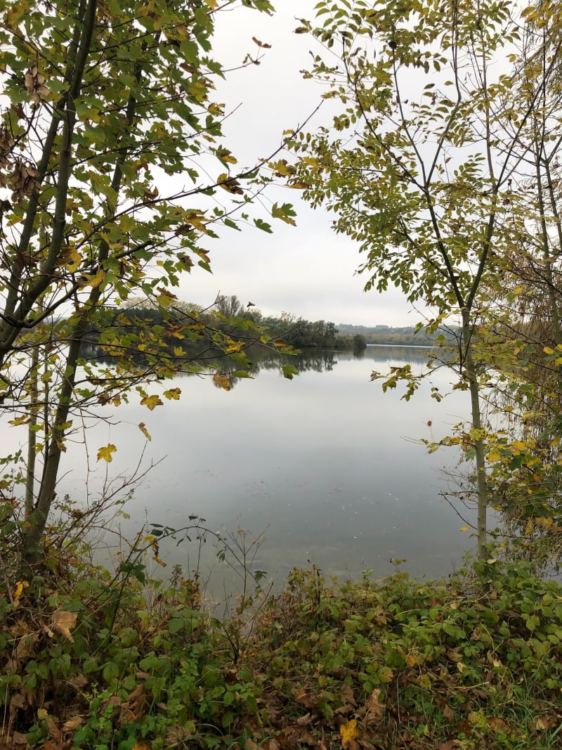 Promenade d’automne et Bois de l'îlon - Saint-Martin-la-Garenne