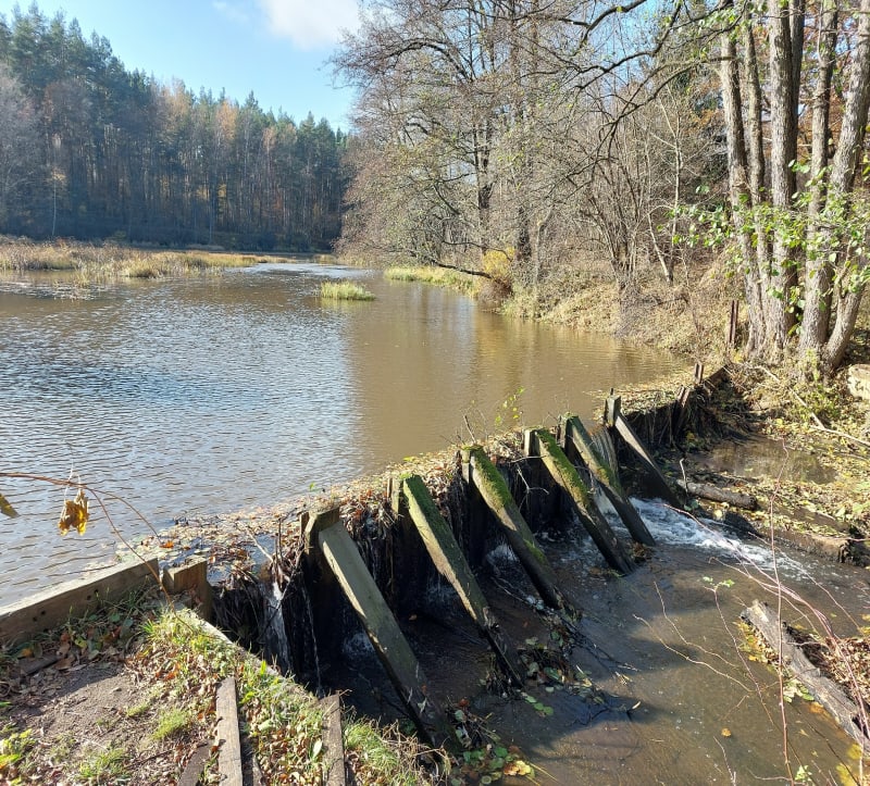 Zalew Gilów i zbiornik Banaszczyk - Drożdżów
