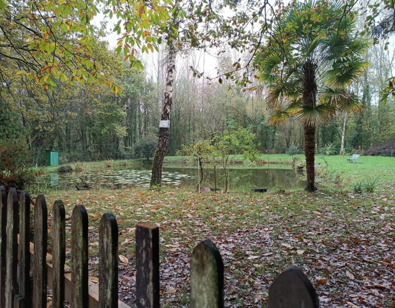 A la découverte des Pierres Tournantes - Saint-Mars-d'Outillé