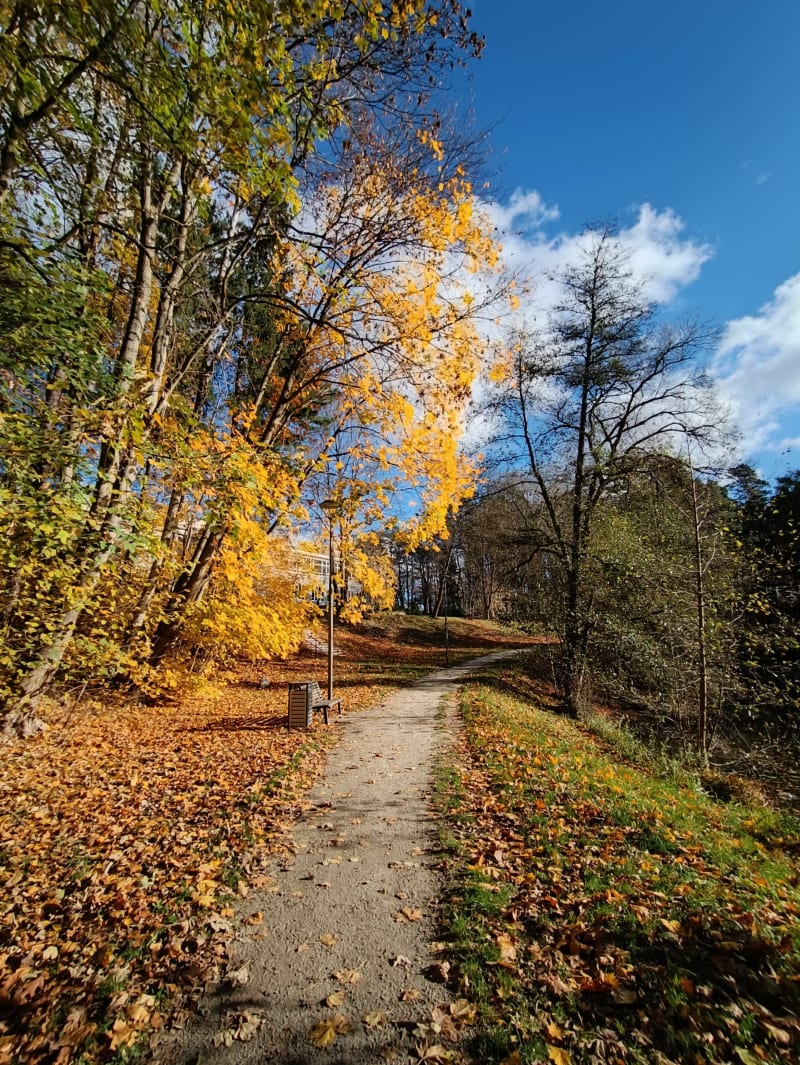 Park Miejski - Olsztyn