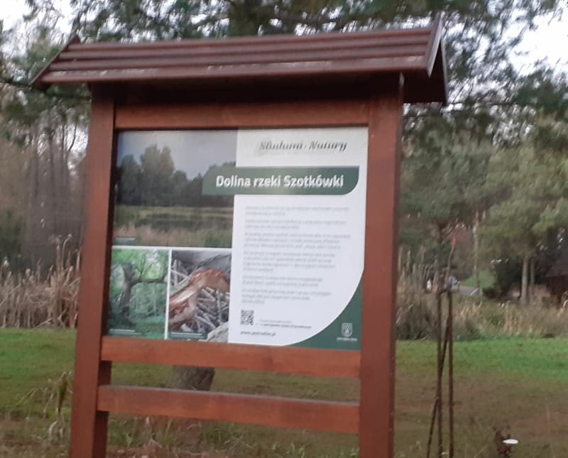 Żelaznym Szlakiem do lasu na mtb. - Jastrzębie-Zdrój