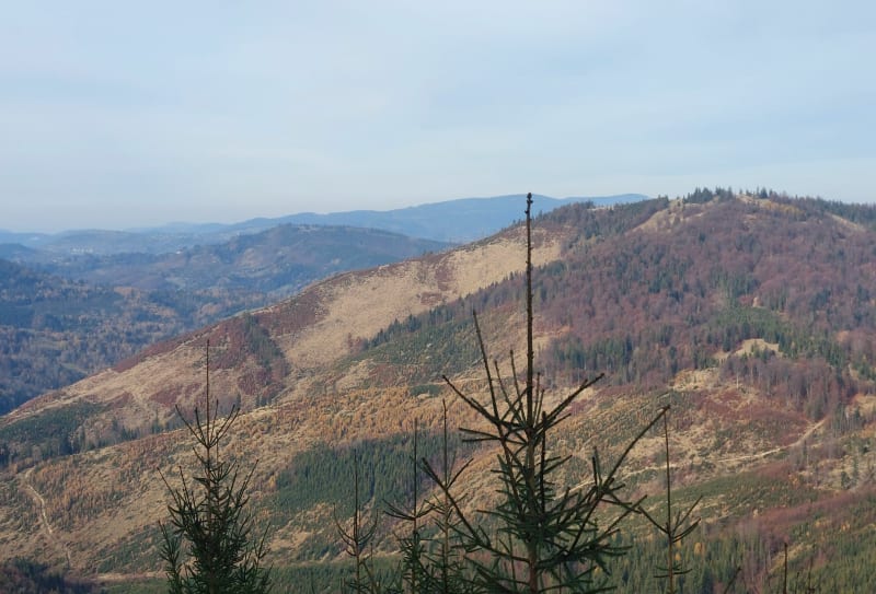 Rycerka Kolonia - Przegibek - Wielka racza Loop - Rycerka Górna