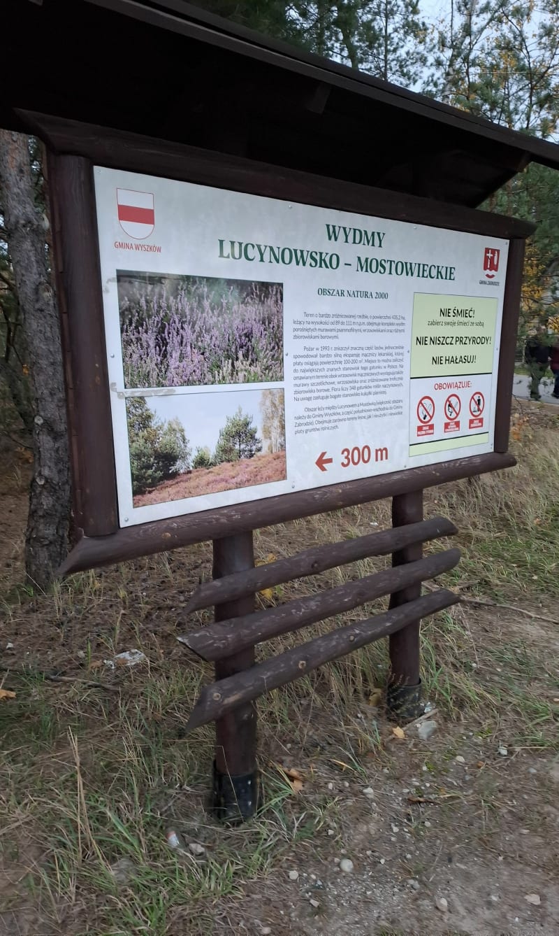 Wrzosowisko Mostówka - Mostówka