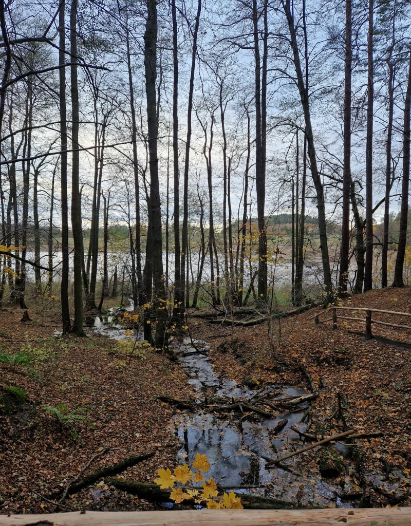 Pętla obok jeziora Kielarskiego - Zazdrość