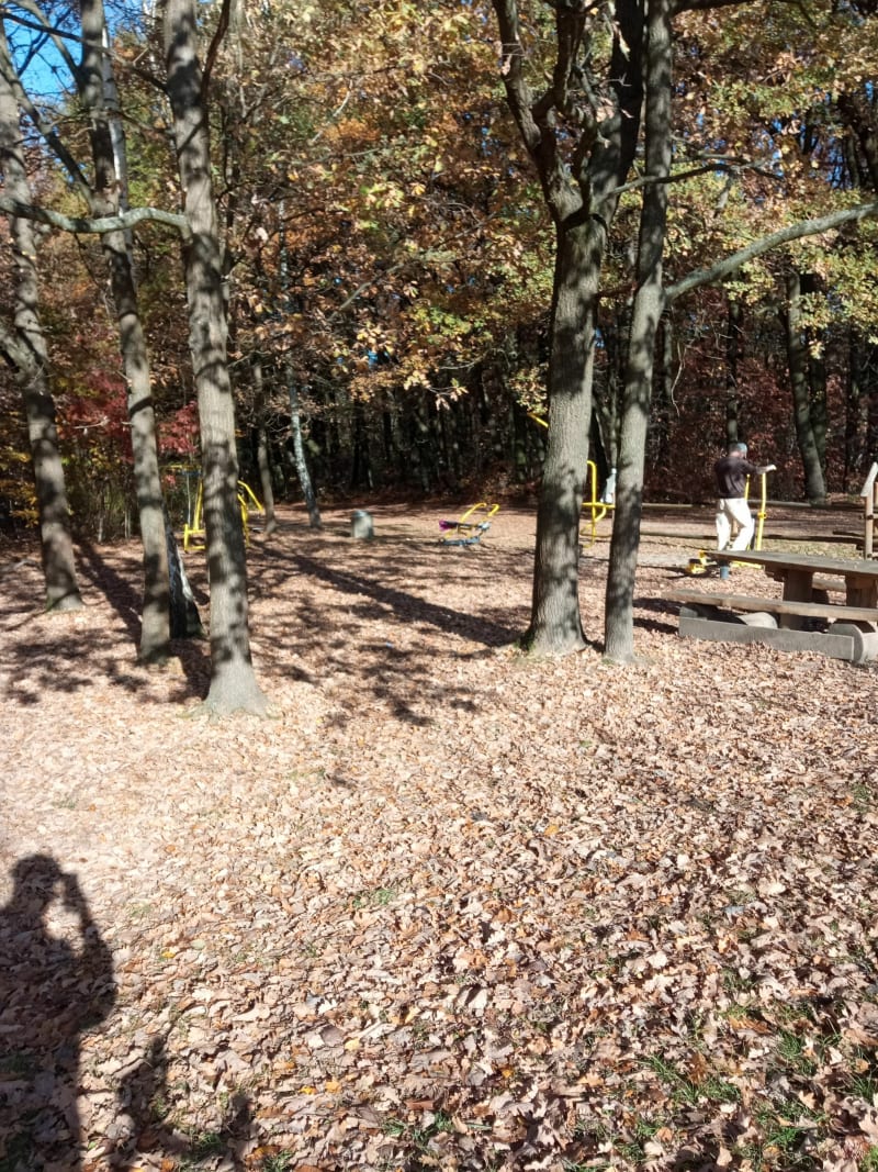 Przyjemna trasa w koło komina - Tarnów