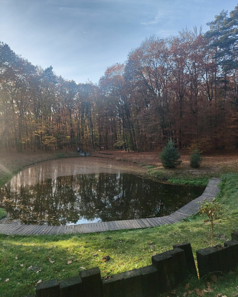 Średnio wymagający spacer na 7 źródeł - Olesno