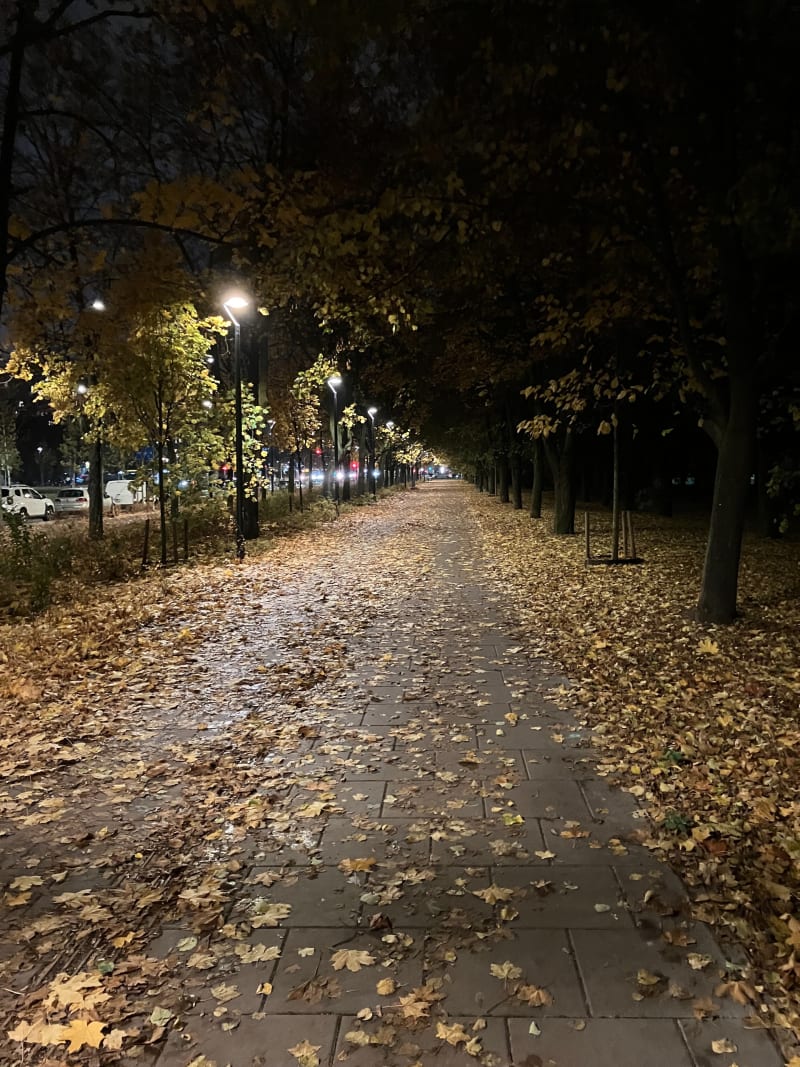 Park Bródnowski i okolica - Warszawa