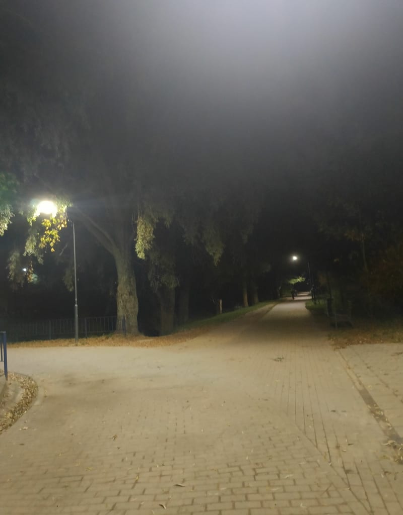 Spacer przy Stawku i Gdańsk - Gdańsk