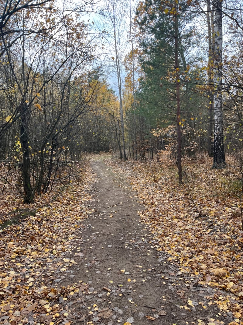Pieszą wędrówka - Białystok