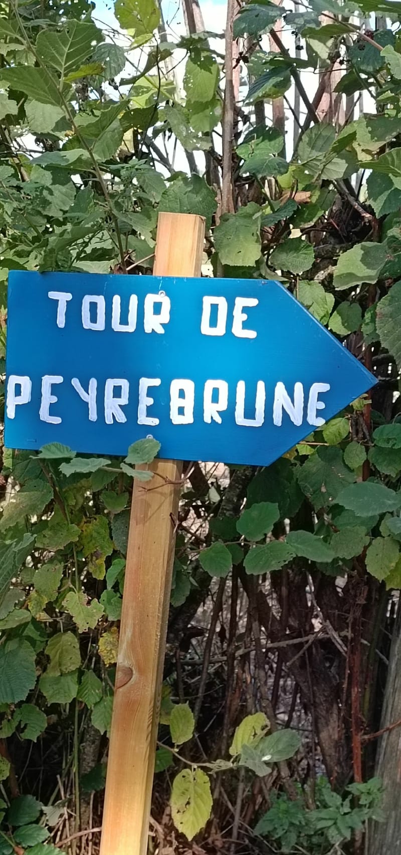Tour de Peyrebrune - Villefranche-de-Panat