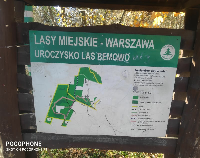Spacer po Uroczysku Bemowo - Warszawa